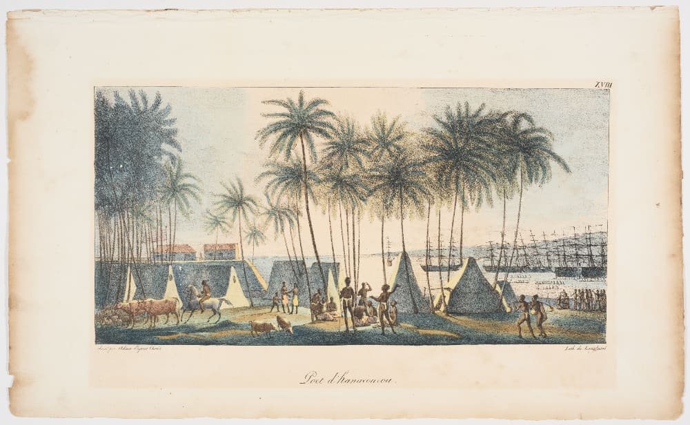 Early European arrival to Hawai'i